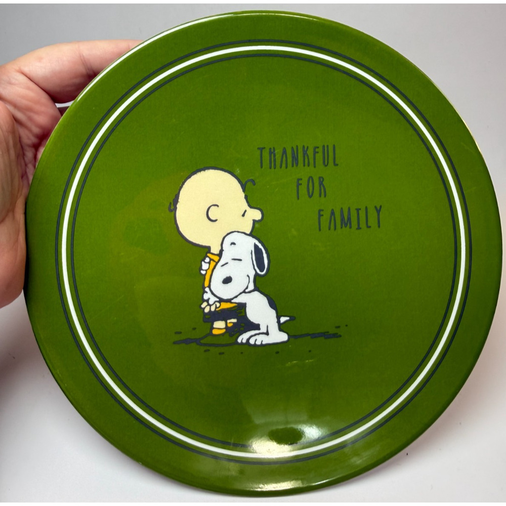 Peanuts Snoopy Pottery Barn Thanksgiving Holiday 5 Piece Plate Set Kids Melamine - Picture 4 of 8